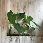 Apartment Crunia - Estudios